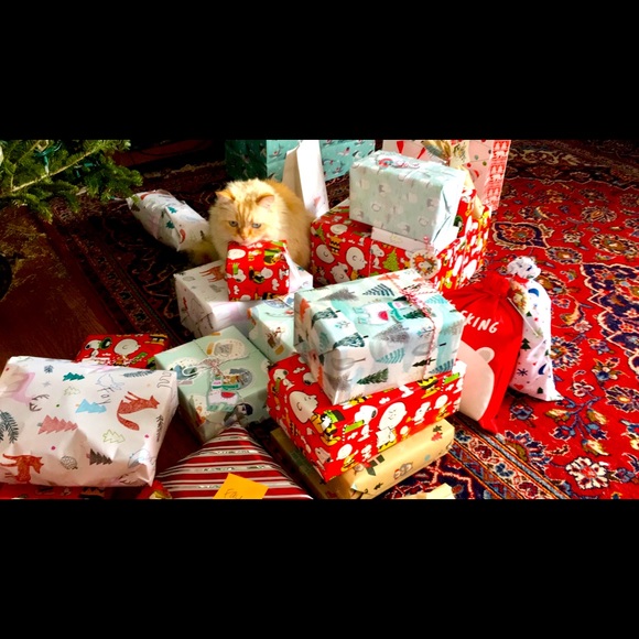 Meet your Posher, Andrew - Picture 1 of 1